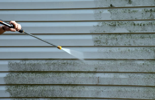 Professional Pressure Washing in Lebanon Junction, KY